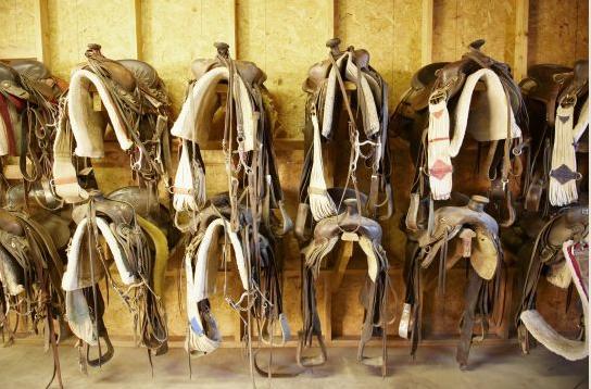 Rancho De Los Caballeros 威肯勃格 外观 照片
