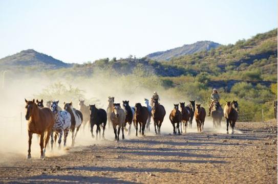 Rancho De Los Caballeros 威肯勃格 外观 照片