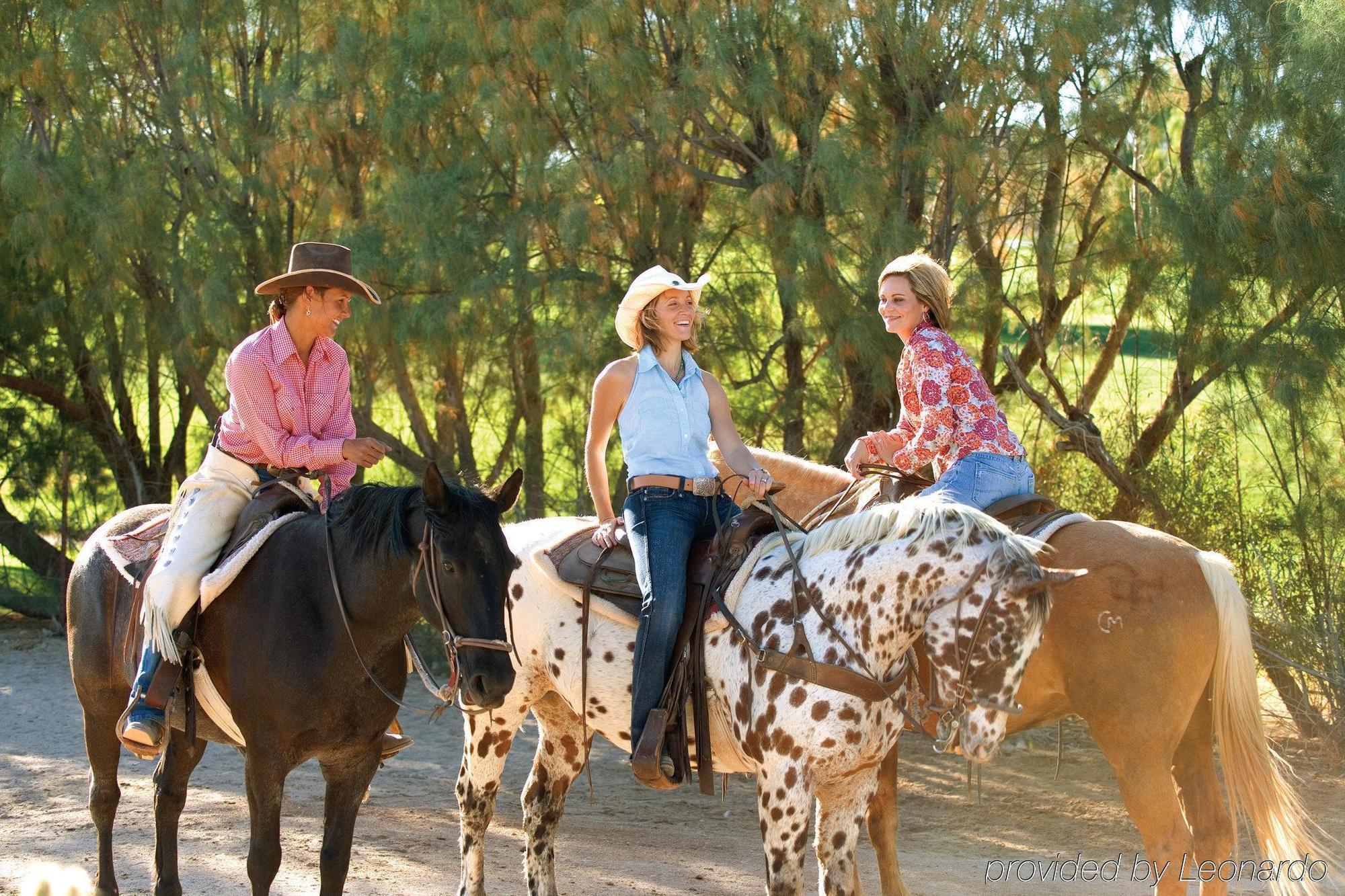 Rancho De Los Caballeros 威肯勃格 外观 照片